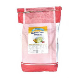 VIZYON Custard Cream Mix Creme Patissiere 10kg Bag
