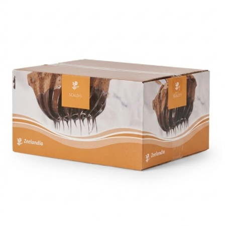 Zeelandia scaldis White chocolate 1x 5kg Zeelandia scaldis White chocolate 1x 5kg